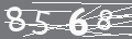 capsa